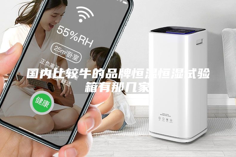 国内比较牛的品牌恒温恒湿试验箱有那几家