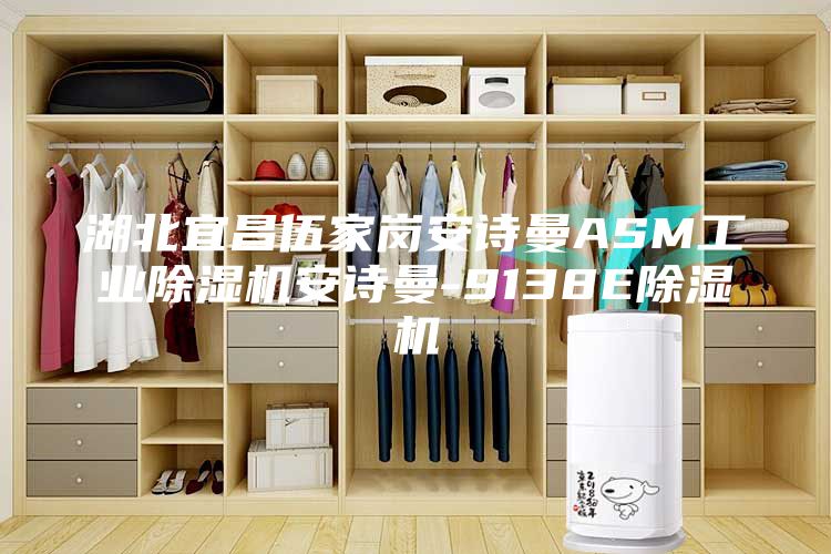 湖北宜昌伍家岗安诗曼ASM工业除湿机安诗曼-9138E除湿机