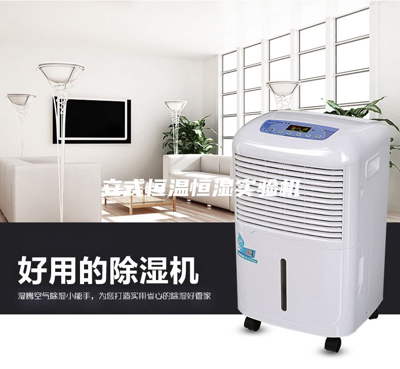 立式恒温恒湿实验机