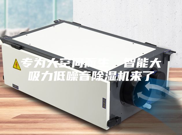 专为大空间而生，智能大吸力低噪音除湿机来了