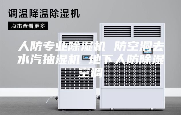 人防专业除湿机 防空洞去水汽抽湿机 地下人防除湿空调