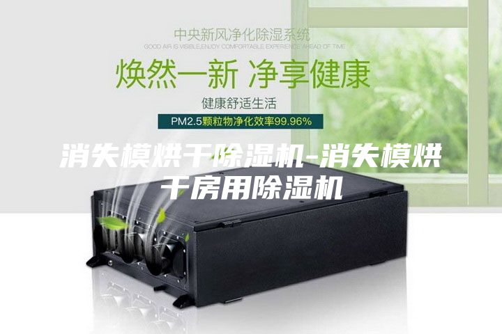消失模烘干除湿机-消失模烘干房用除湿机