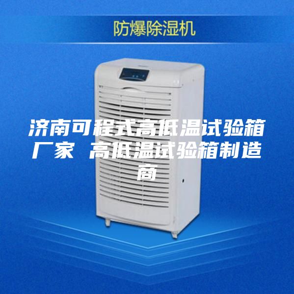 济南可程式高低温试验箱厂家 高低温试验箱制造商