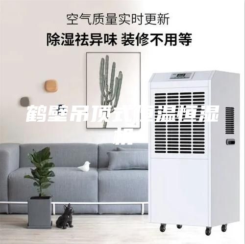 鹤壁吊顶式恒温恒湿机