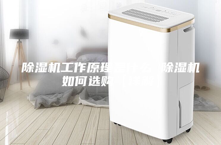 除湿机工作原理是什么 除湿机如何选购【详解】