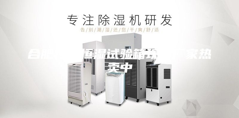 合肥恒温恒湿试验箱现货厂家热卖中