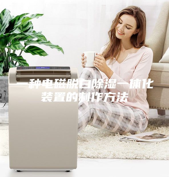 一种电磁脱白除湿一体化装置的制作方法