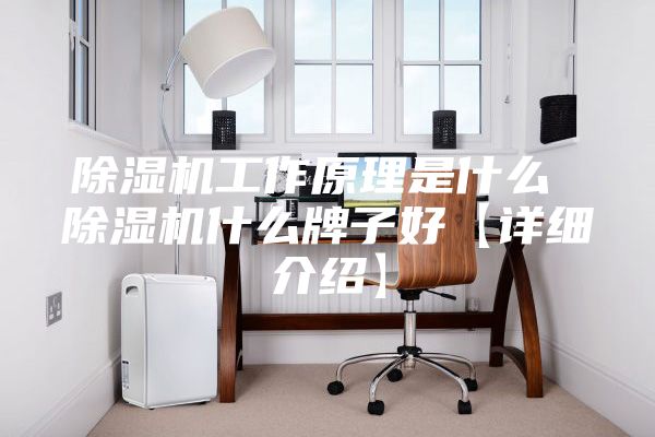 除湿机工作原理是什么 除湿机什么牌子好【详细介绍】