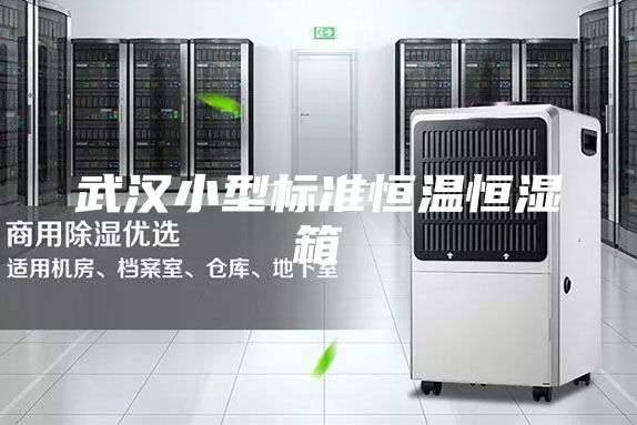 武汉小型标准恒温恒湿箱