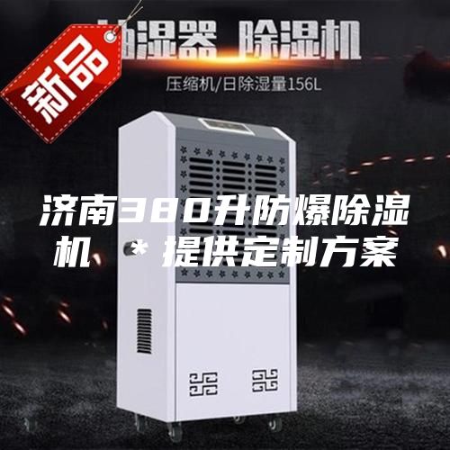 济南380升防爆除湿机 ＊提供定制方案