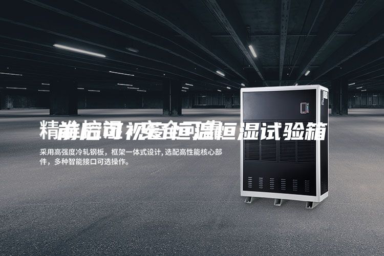 前后可视窗恒温恒湿试验箱