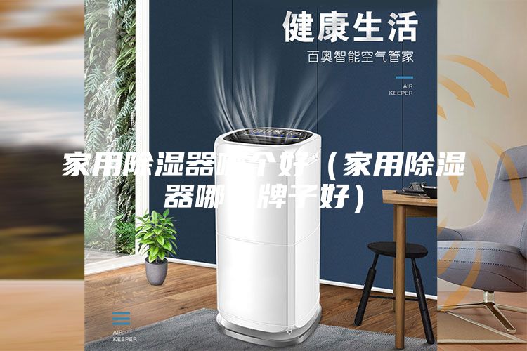 家用除湿器哪个好（家用除湿器哪个牌子好）