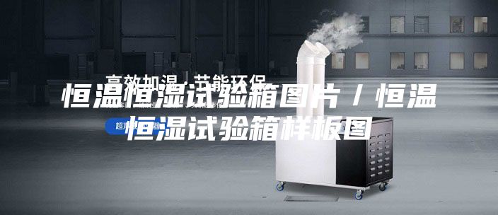 恒温恒湿试验箱图片／恒温恒湿试验箱样板图