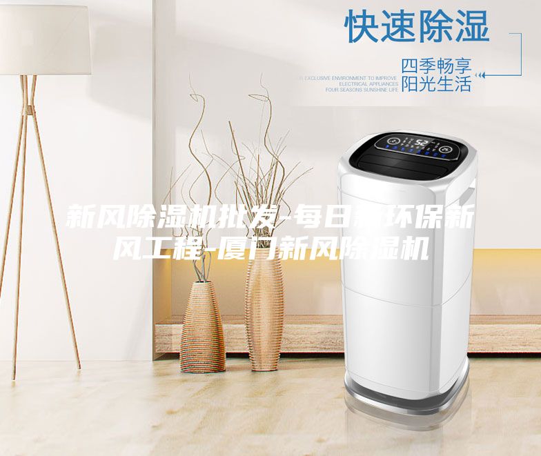 新风除湿机批发-每日新环保新风工程-厦门新风除湿机