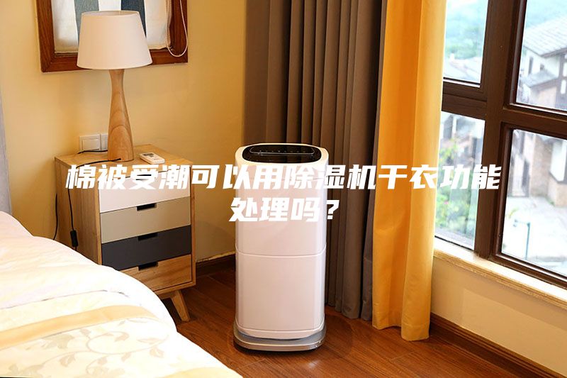 棉被受潮可以用除湿机干衣功能处理吗？