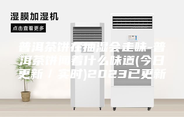 普洱茶饼在抽湿会走味-普洱茶饼闻着什么味道(今日更新／实时)2023已更新