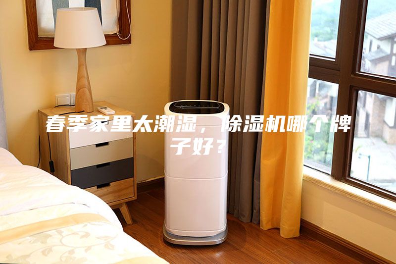 春季家里太潮湿，除湿机哪个牌子好？