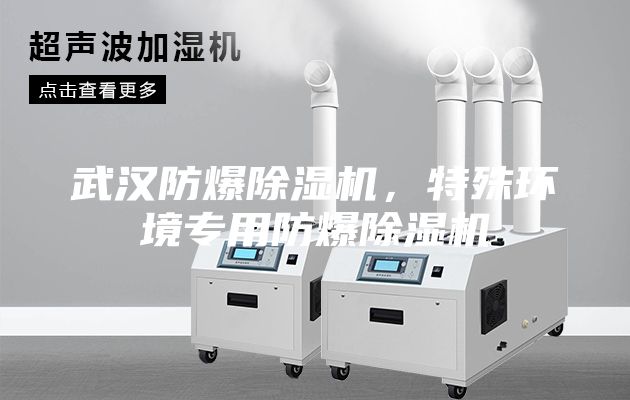 武汉防爆除湿机，特殊环境专用防爆除湿机