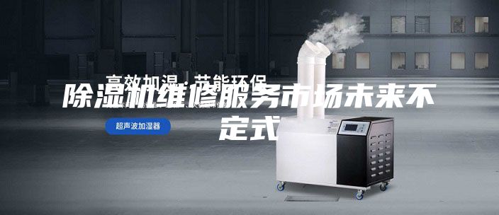 除湿机维修服务市场未来不定式