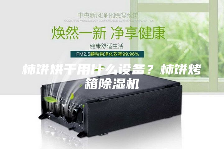 柿饼烘干用什么设备？柿饼烤箱除湿机