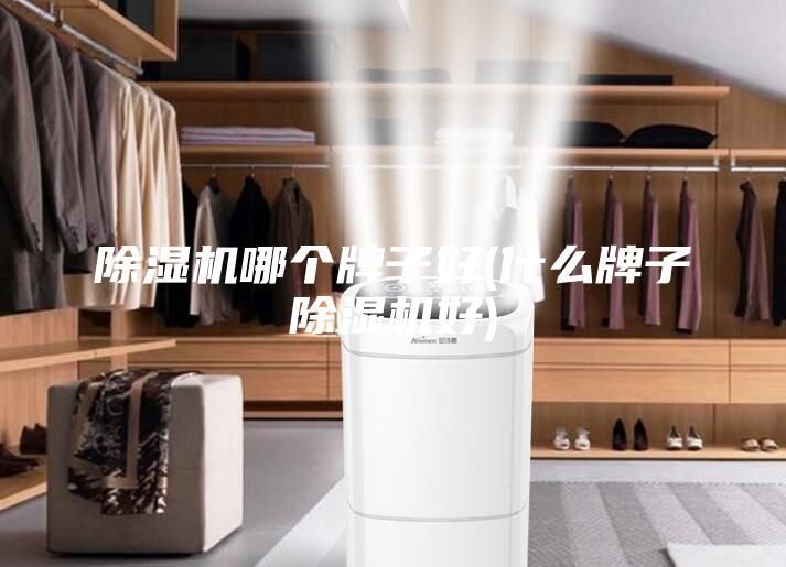 除湿机哪个牌子好(什么牌子除湿机好)