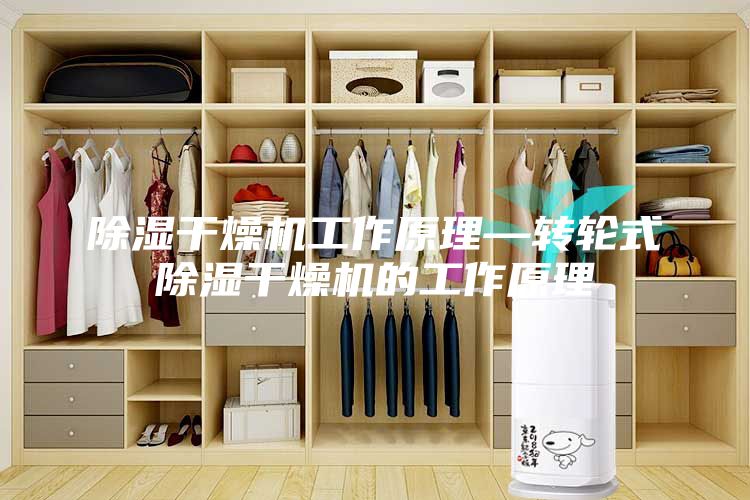 除湿干燥机工作原理—转轮式除湿干燥机的工作原理