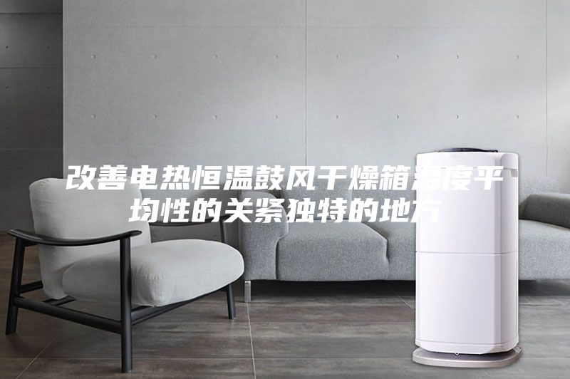 改善电热恒温鼓风干燥箱温度平均性的关紧独特的地方
