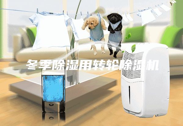 冬季除湿用转轮除湿机