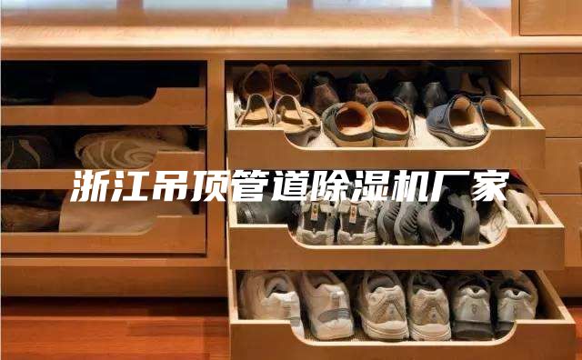 浙江吊顶管道除湿机厂家