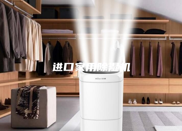 进口家用除湿机