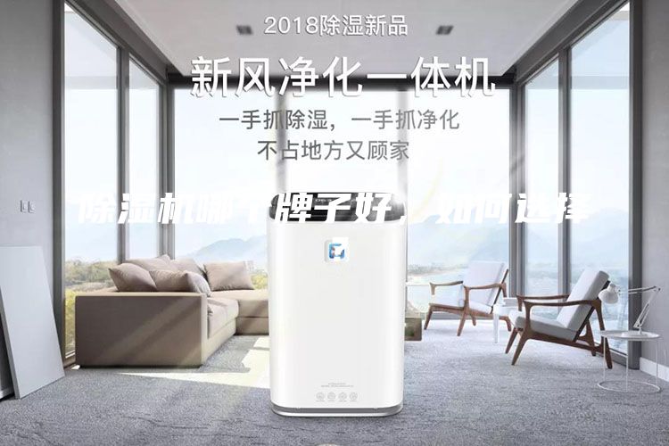 除湿机哪个牌子好，如何选择？