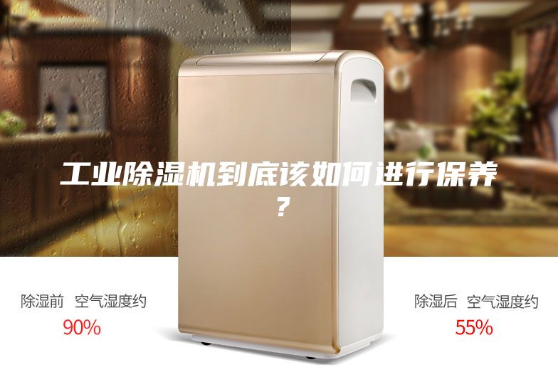 工业除湿机到底该如何进行保养？
