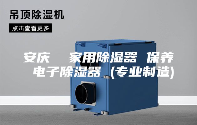 安庆  家用除湿器 保养 电子除湿器 (专业制造)