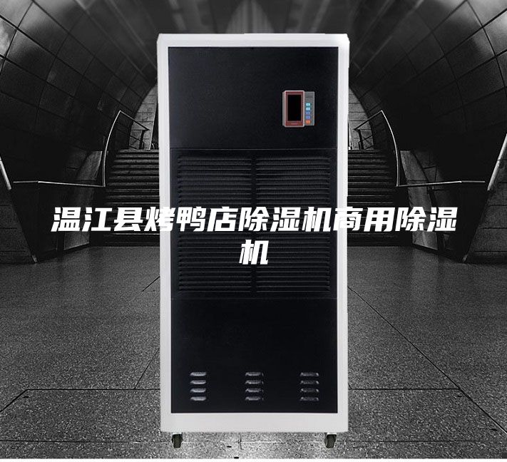 温江县烤鸭店除湿机商用除湿机