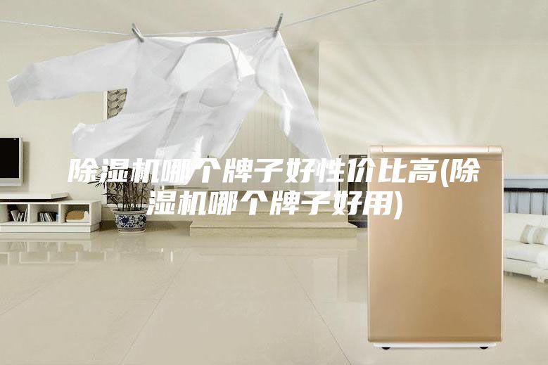 除湿机哪个牌子好性价比高(除湿机哪个牌子好用)