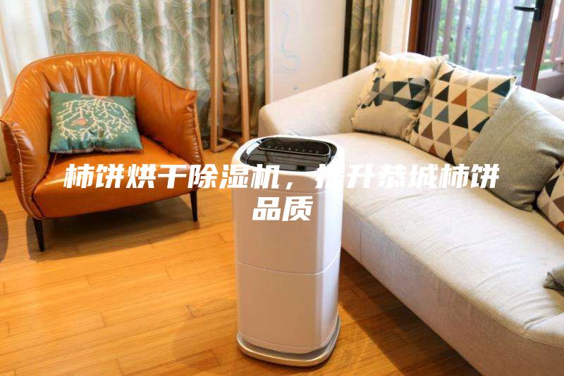 柿饼烘干除湿机，提升恭城柿饼品质