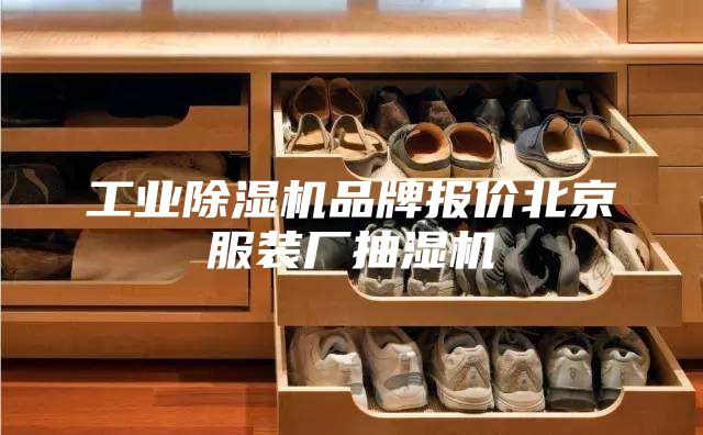 工业除湿机品牌报价北京服装厂抽湿机