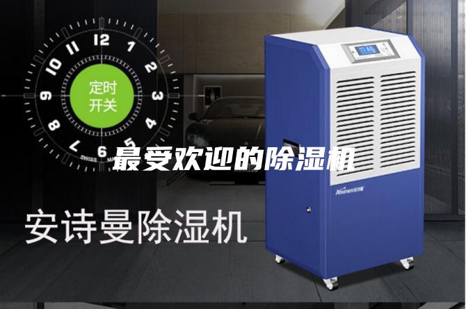 最受欢迎的除湿机