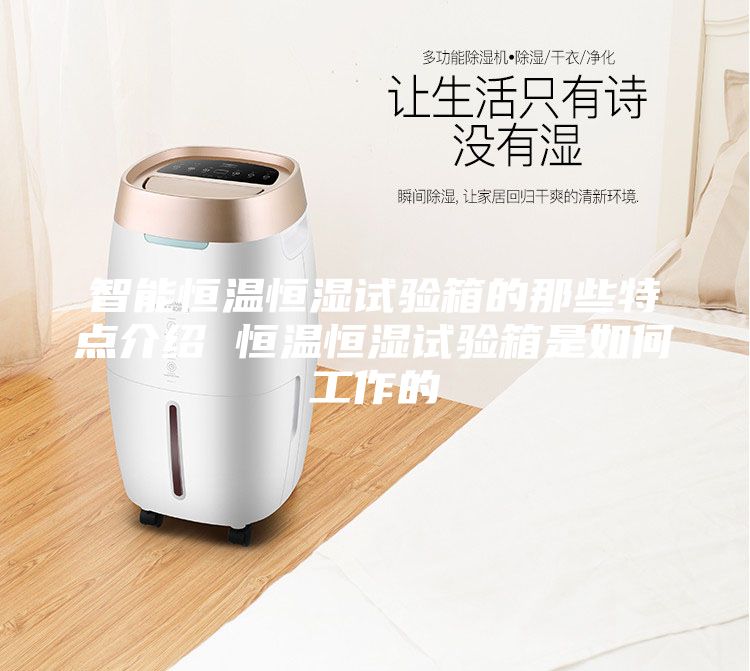 智能恒温恒湿试验箱的那些特点介绍 恒温恒湿试验箱是如何工作的