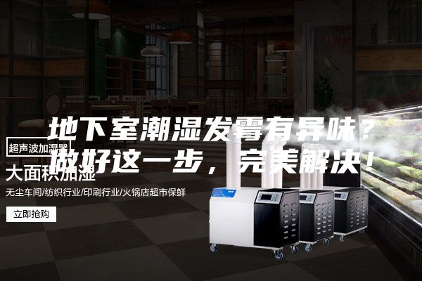 地下室潮湿发霉有异味？做好这一步，完美解决！