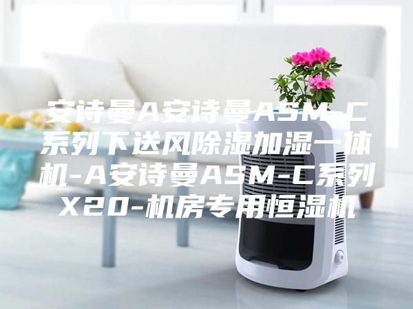 安诗曼A安诗曼ASM-C系列下送风除湿加湿一体机-A安诗曼ASM-C系列X20-机房专用恒湿机