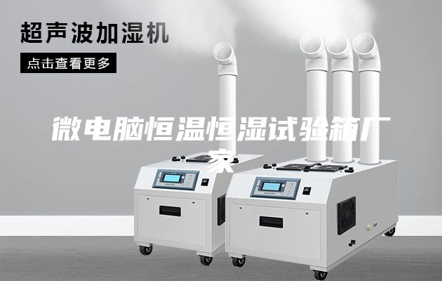 微电脑恒温恒湿试验箱厂家