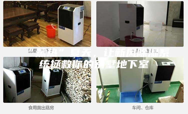 “蒸热”夏天，让新风除湿系统拯救你的别墅地下室