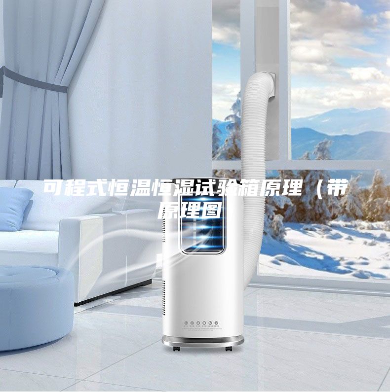 可程式恒温恒湿试验箱原理（带原理图）