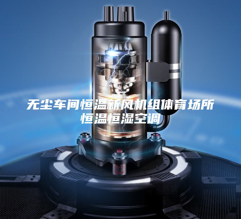 无尘车间恒温新风机组体育场所恒温恒湿空调