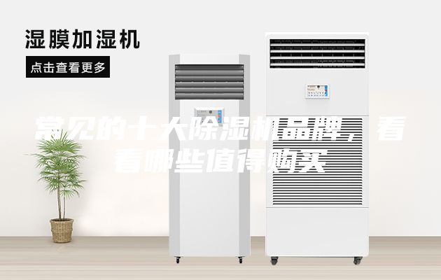 常见的十大除湿机品牌，看看哪些值得购买