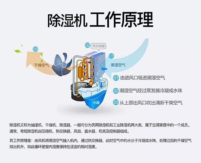 木质家具如何防潮防霉，安诗曼给您支招