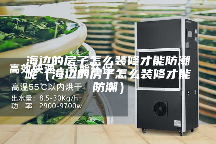 海边的房子怎么装修才能防潮呢（海边的房子怎么装修才能防潮）