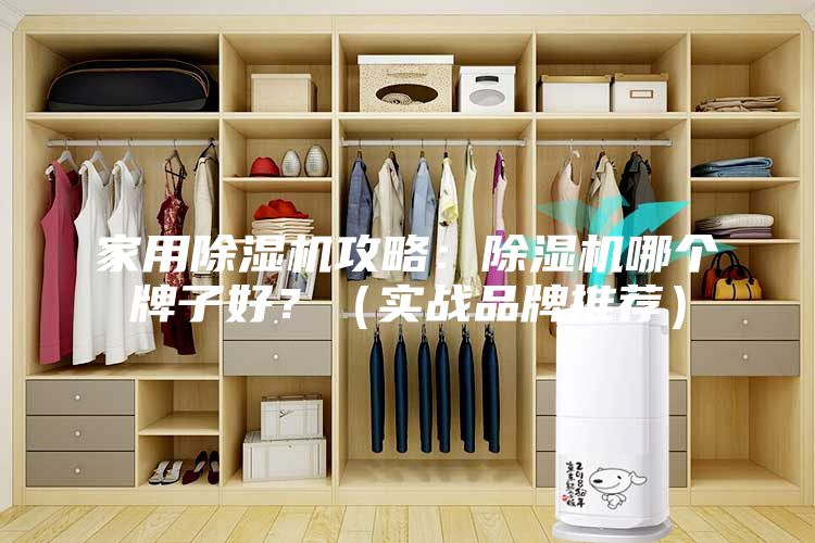 家用除湿机攻略：除湿机哪个牌子好？（实战品牌推荐）