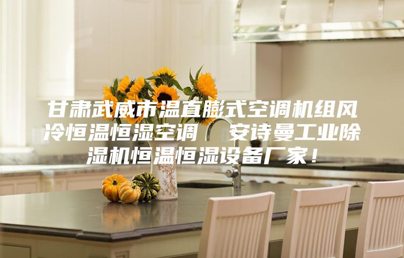 甘肃武威市温直膨式空调机组风冷恒温恒湿空调  安诗曼工业除湿机恒温恒湿设备厂家！